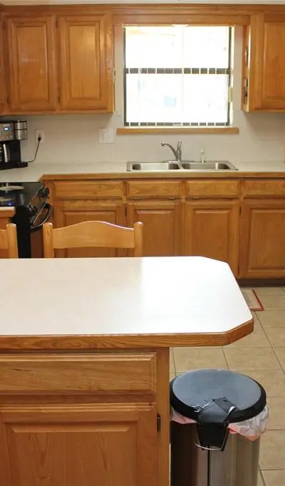102 Wasco Cove, Lake Kiowa TX 76240 - Photo 4