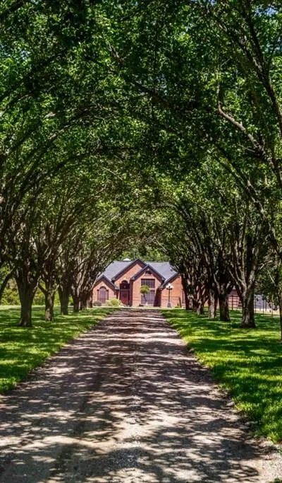 1933 Vz County Road 2721, Mabank TX 75147 - Photo 4
