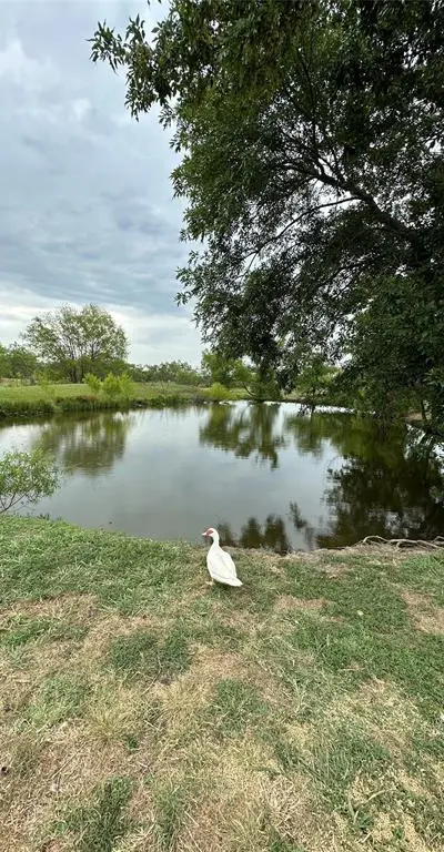 1074 County Road 142, Kaufman TX 75142 - Photo 2