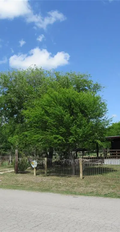 8927 Cartwright Drive, Cresson TX 76035 - Photo 3