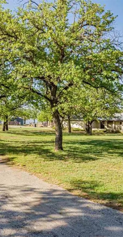 10325 County Road 197, Breckenridge TX 76424 - Photo 4