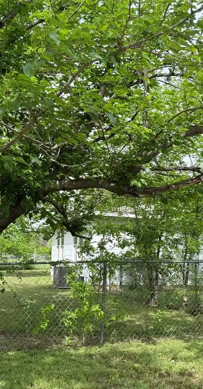 1602 SE 11th Avenue, Mineral Wells TX 76067 - Photo 4