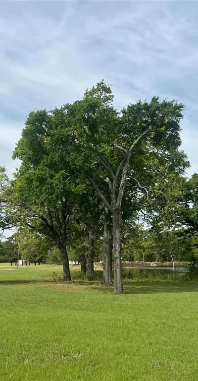 1376 County Road 1123, Cumby TX 75433 - Photo 3