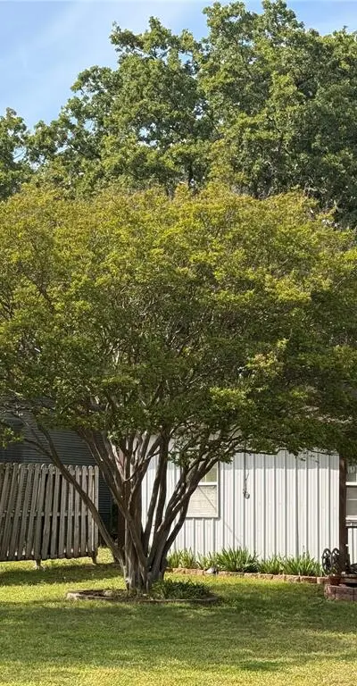 1116 E State Highway 276, West Tawakoni TX 75474 - Photo 3