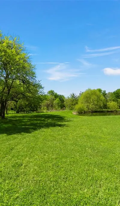 4076 County Road 1088, Celeste TX 75423 - Photo 4