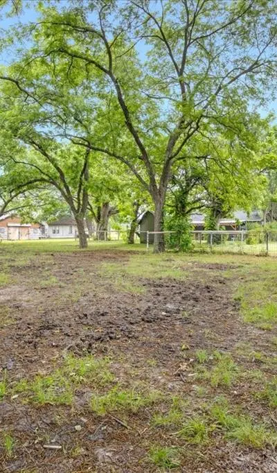 103 N Mill Street, Savoy TX 75479 - Photo 5