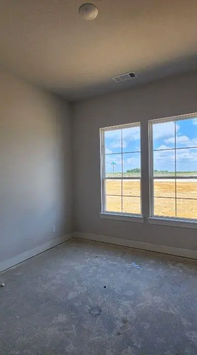 12421 Hornfels Drive, Krum TX 76249 - Photo 4