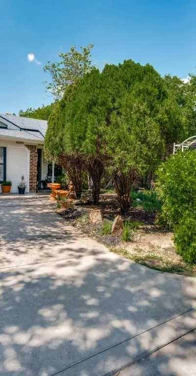 5304 Umbrella Pine Court, Arlington TX 76018