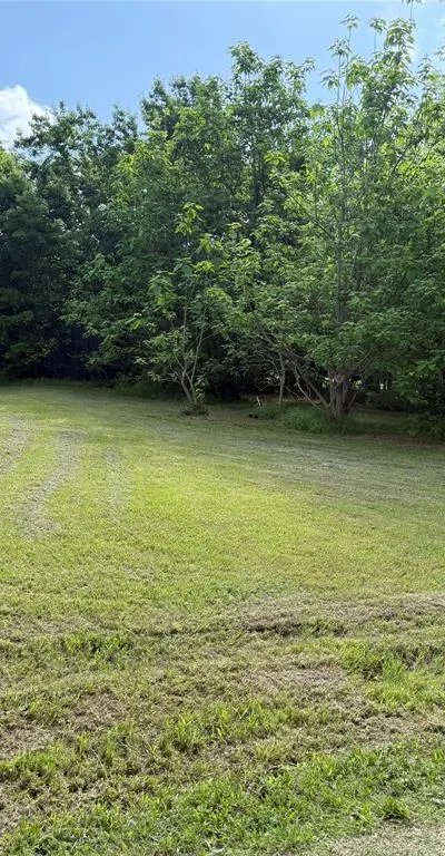 10180 Torama, Wills Point TX 75169 - Photo 3