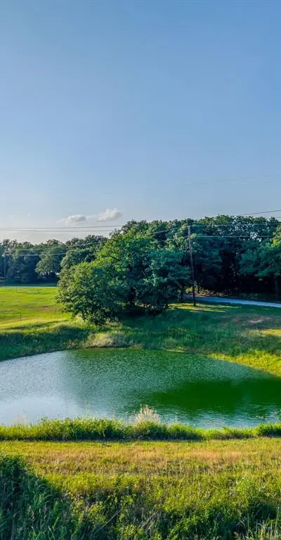 141 County Road 4793, Boyd TX 76023 - Photo 5