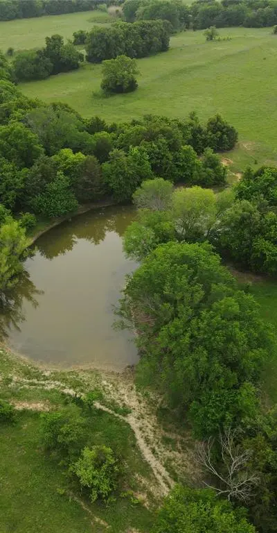 5444 Well Service Road, Bowie TX 76230 - Photo 3