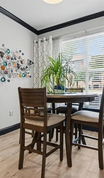330 Las Colinas Boulevard # 118, Irving TX 75039 - Photo 4