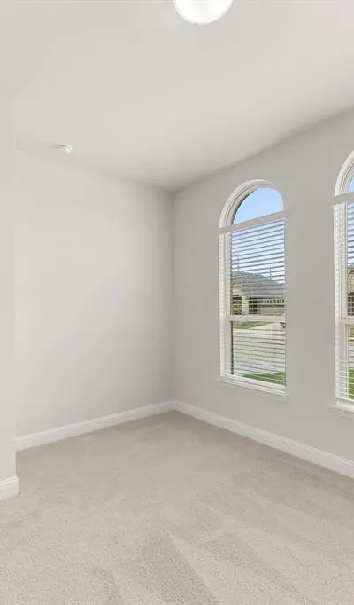 108 Whistling Duck Drive, Balch Springs TX 75181 - Photo 4