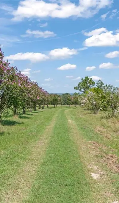 2503 Vz County Road 3804, Wills Point TX 75169 - Photo 2