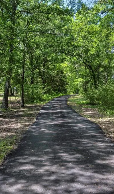 1003 Vz County Road 3211, Wills Point TX 75169 - Photo 2