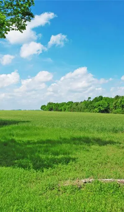 655 Saint Clair Road, Ennis TX 75119 - Photo 3