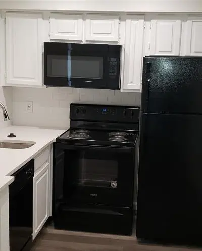 2300 Bamboo Drive # N308, Arlington TX 76006 - Photo 2