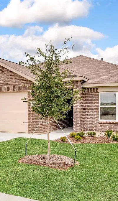 405 Patton Lane, Venus TX 76084 - Photo 2