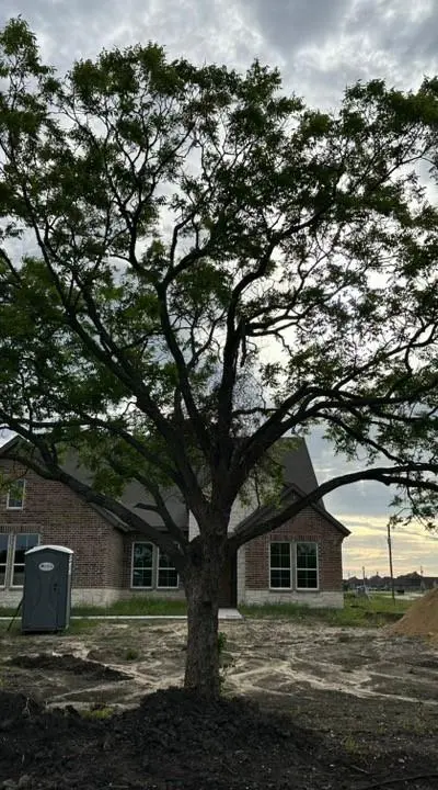 1454 County Road 4910, Leonard TX 75452 - Photo 3