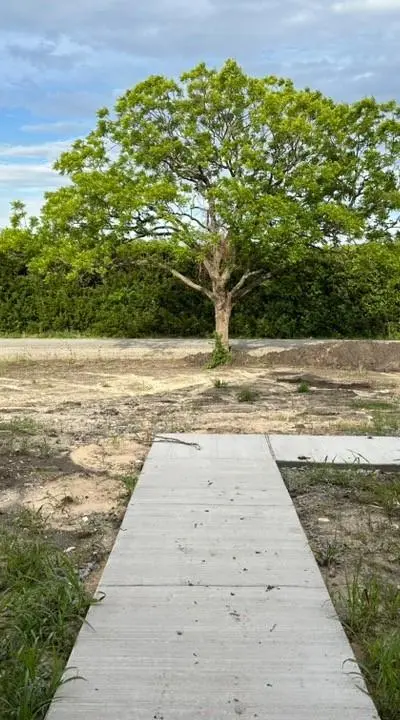 1454 County Road 4910, Leonard TX 75452 - Photo 5