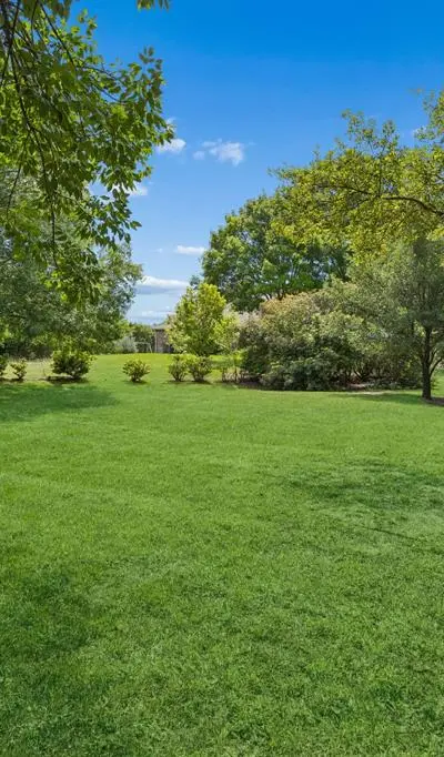 310 Deer Path, Fairview TX 75069 - Photo 2