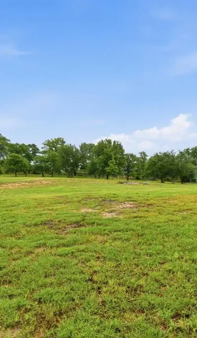309 Aviara Court, Poolville TX 76487 - Photo 4