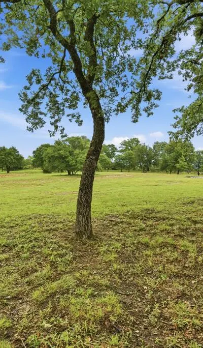 309 Aviara Court, Poolville TX 76487 - Photo 5