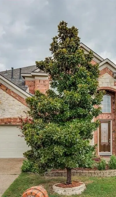 10327 Offshore Drive, Irving TX 75063 - Photo 3