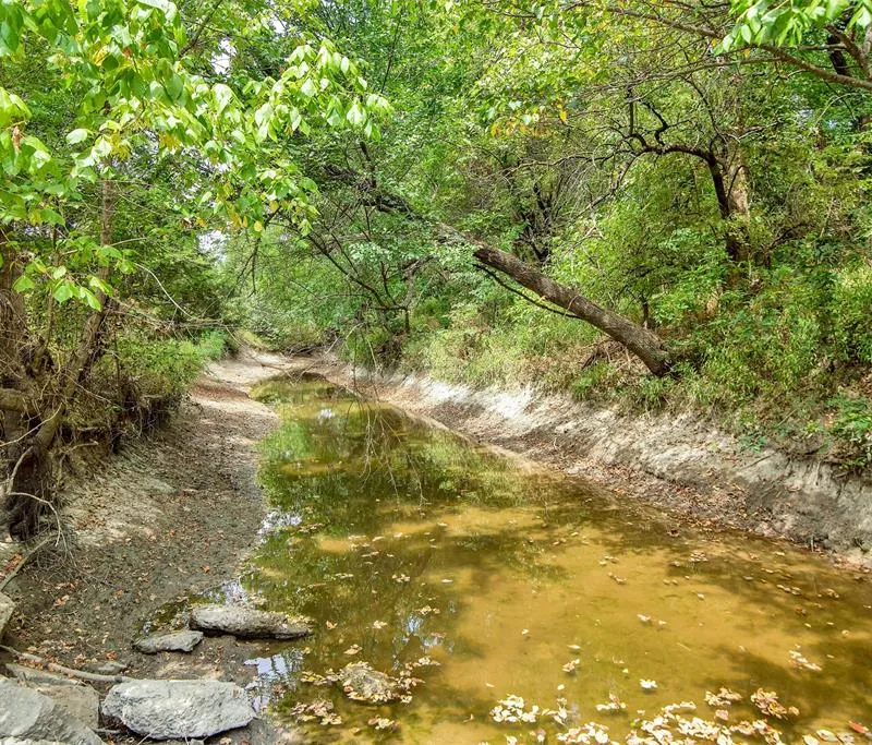 10616 State Highway 78 N, Blue Ridge TX 75424