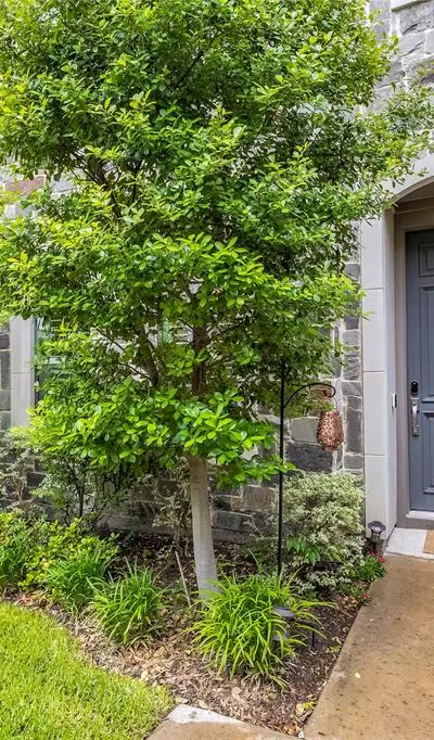 5485 Beecher Street, Dallas TX 75209 - Photo 2