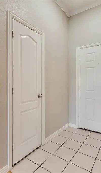 1517 White Willow Lane, Arlington TX 76002 - Photo 4
