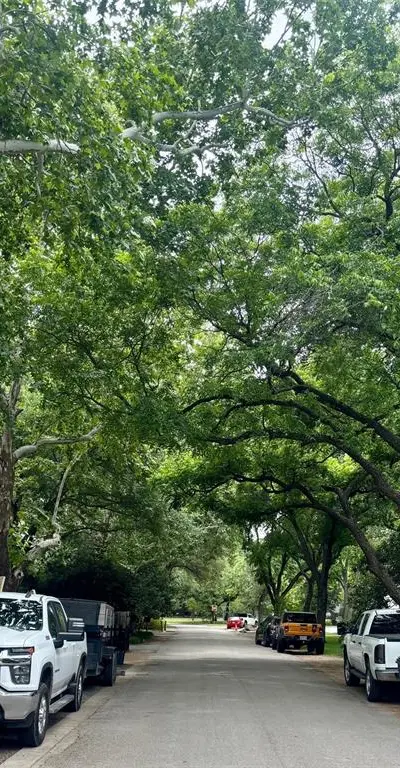 4422 Wildwood Road, Dallas TX 75209 - Photo 2