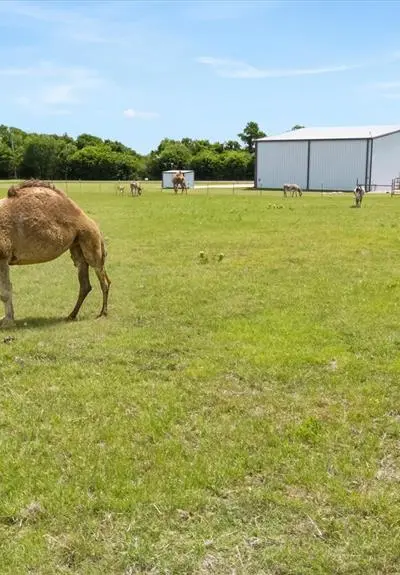 14705 County Road 545, Nevada TX 75173 - Photo 3
