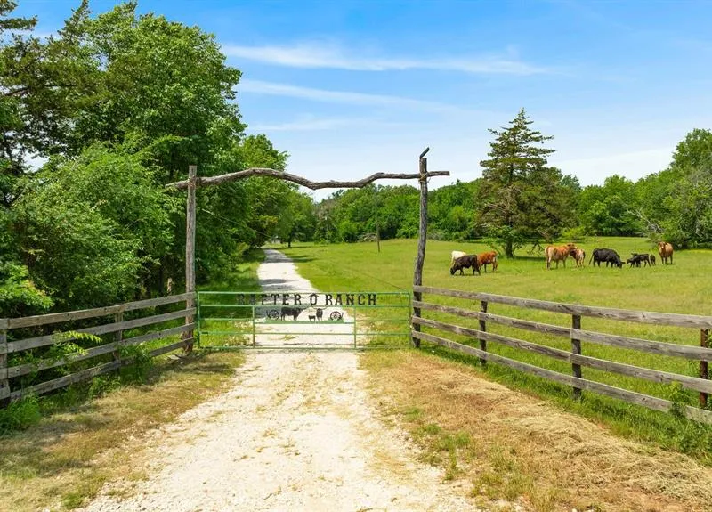 690 County Road 15560, Paris TX 75462