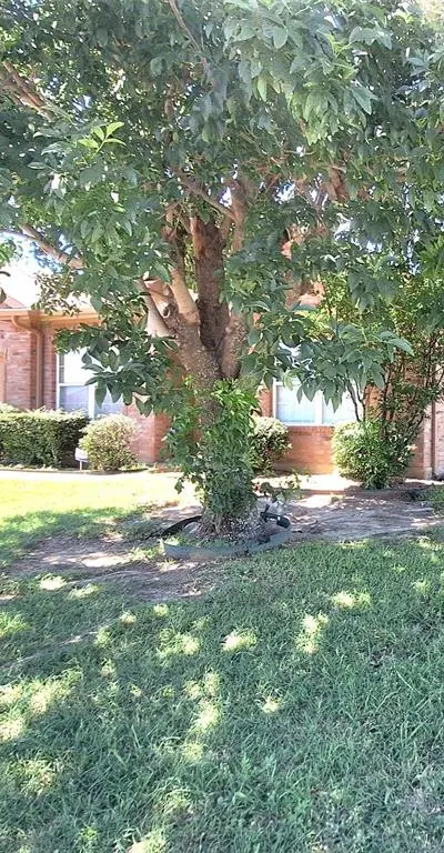 953 Hannah Way, Dallas TX 75253 - Photo 4