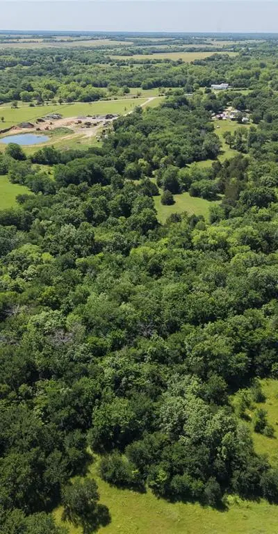3700 County Road 4040, Whitewright TX 75491 - Photo 4