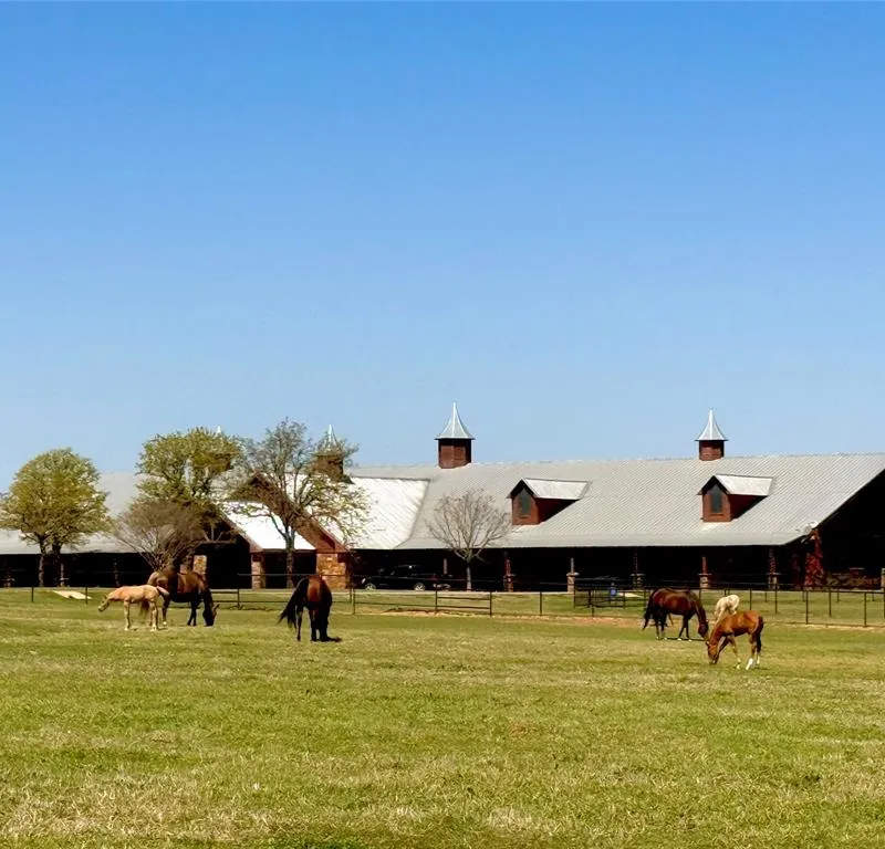 1257 County Road 132, Whitesboro TX 76273