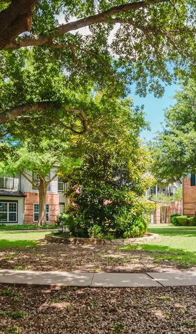 2524 Preston Road # 808, Plano TX 75093 - Photo 5
