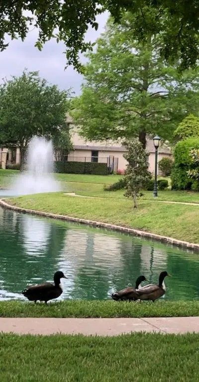 648 Laketrail Drive, Richardson TX 75081 - Photo 2