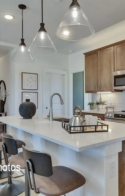 133 John Laurens Drive, Venus TX 76084 - Photo 2