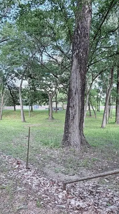 17100 County Road 329, Terrell TX 75161 - Photo 5