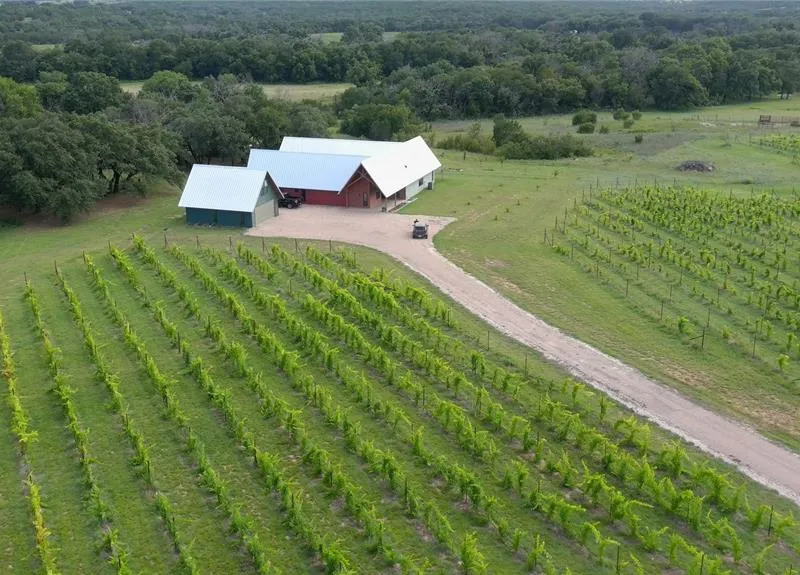 25270 State Highway 6, Hico TX 76457