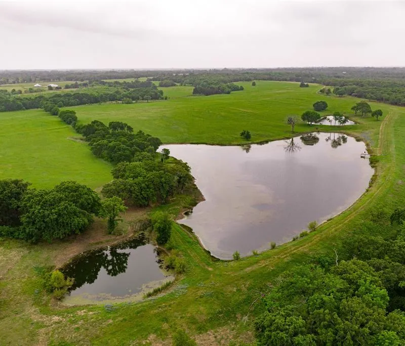 5531 NE County Road 3130, Kerens TX 75144