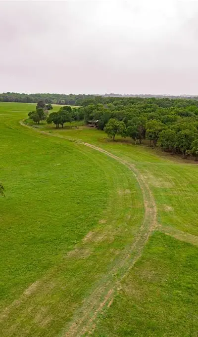 5531 NE County Road 3130, Kerens TX 75144 - Photo 5
