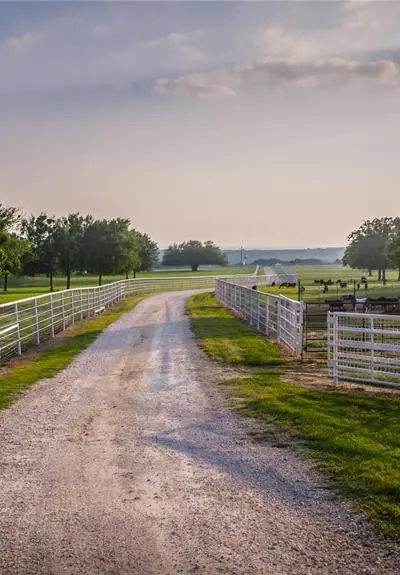 24183 S US 281, Hico TX 76457 - Photo 3