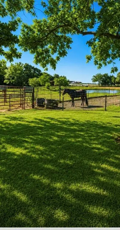 2801 County Road 115, Whitesboro TX 76273 - Photo 3