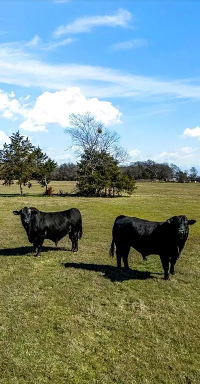 11095 E State Highway 31, Kerens TX 75144