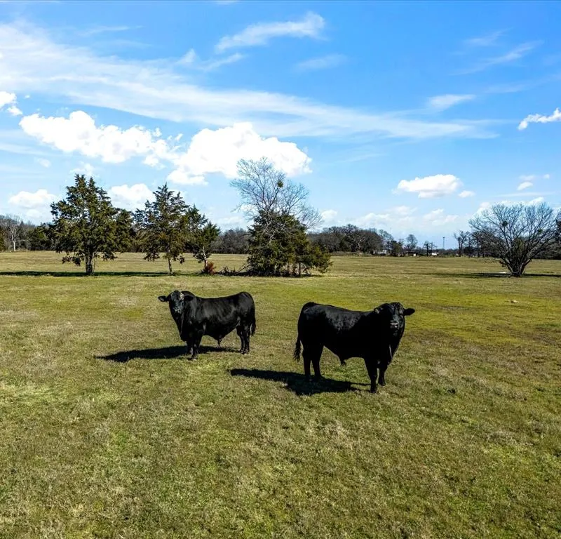 11095 E State Highway 31, Kerens TX 75144