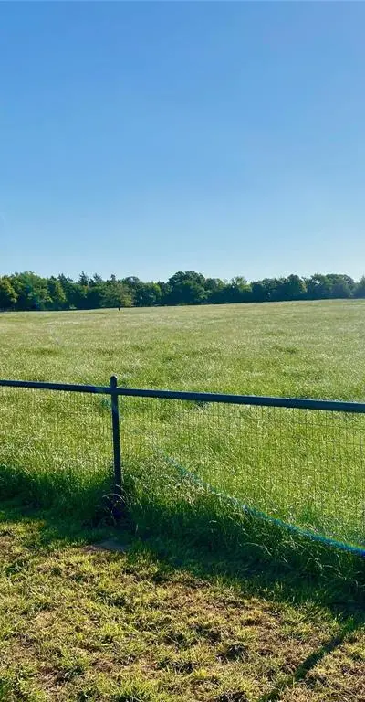 405 County Road 1264, Whitesboro TX 76273 - Photo 5