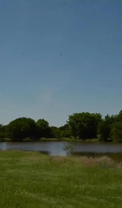 138 PR 3417, Boyd TX 76426